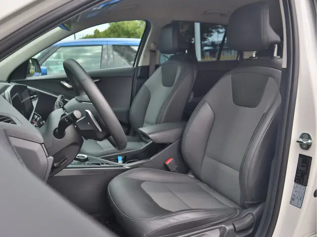 Kia Niro EV DynamicLine 64.8 kWh 2022 Elektrisch 22