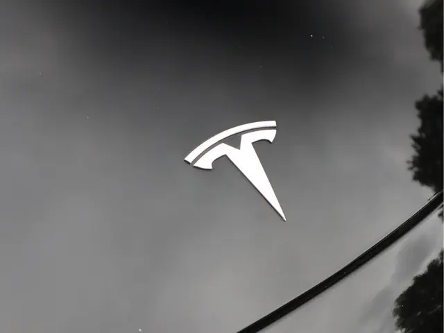 Tesla Model 3 Standard RWD Plus 60 kWh 2020 Elektrisch 29