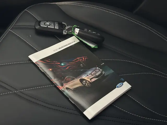 Ford Mustang Mach-E RWD 75 kWh 2021 Elektrisch 29