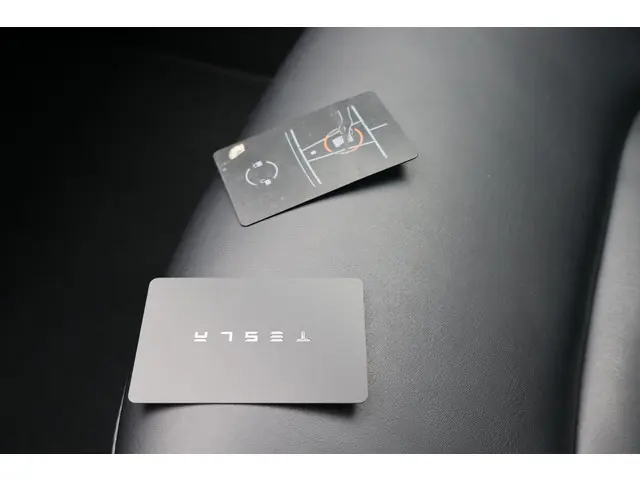 Tesla Model 3 Performance AWD 75 kWh 2019 Elektrisch 46