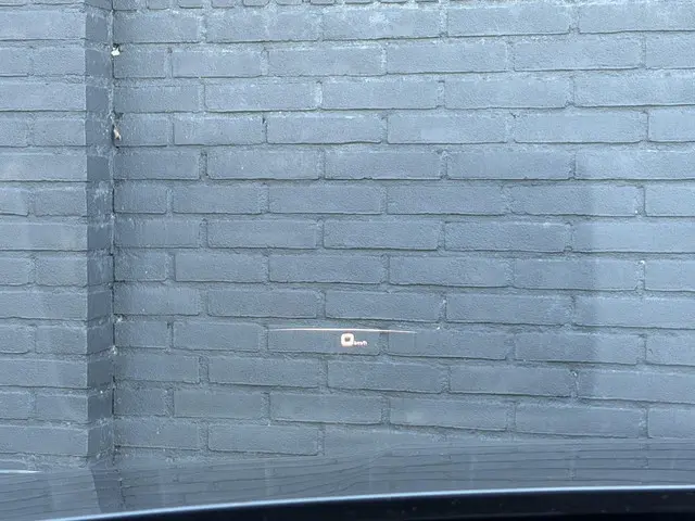 Porsche Cayenne 2.9 S Platinum Edition 2020 Benzine 20