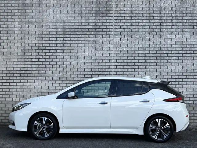 Nissan Leaf Tekna 40 kWh 2022 Elektrisch 18