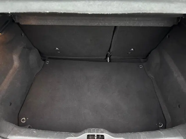 Citroën C4 Cactus 1.2 PureTech Business 2019 Benzine 22