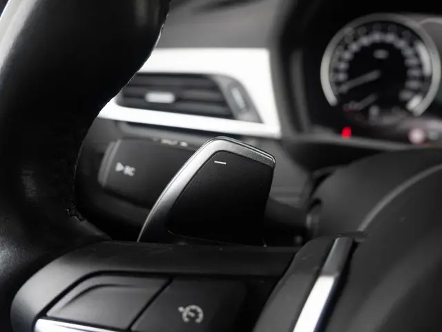 BMW X2 sDrive20i 2019 Benzine 34