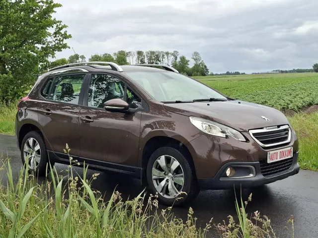 Peugeot 2008 1.2 VTi Active van 1e eigenaar❗ 2013 Benzine 7