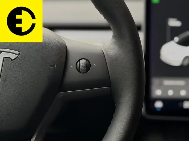 Tesla Model 3 Standard RWD Plus 60 kWh 2021 Elektrisch 22