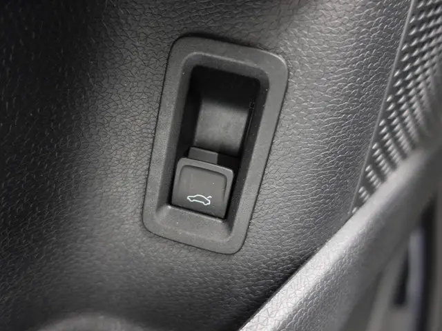 Volkswagen ID. Buzz Cargo 77 kWh 2023 Elektrisch 36