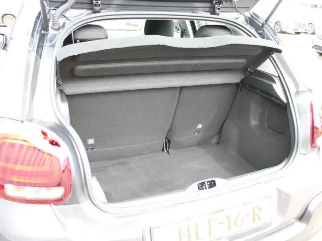 Citroën C3 1.2 PureTech S&S Shine 2020 Benzine 10