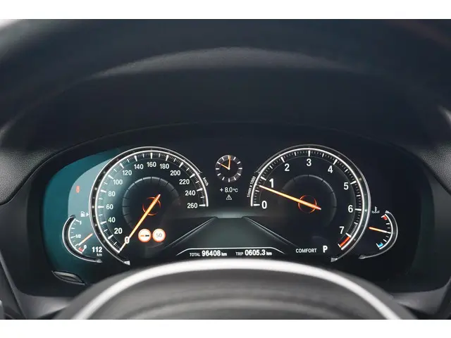 BMW X4 xDrive20i 2019 Benzine 12
