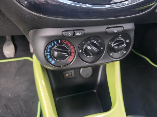 Opel ADAM 1.4 Glam,leuke auto! 2014 Benzine 18