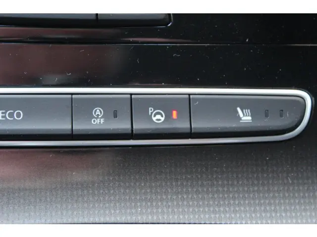 Renault Scénic 1.3 TCe Black Edition 2021 Benzine 16