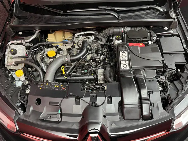 Renault Mégane 1.2 TCe Bose 2018 Benzine 30