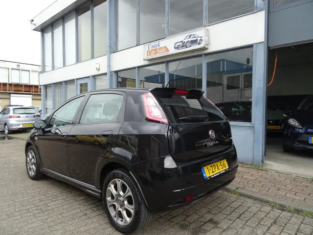 Fiat Punto 3