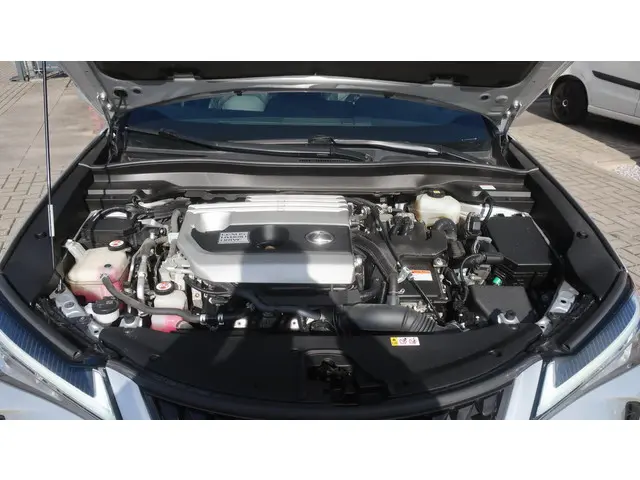Lexus UX 250h Business Line 2019 Hybride Benzine 9