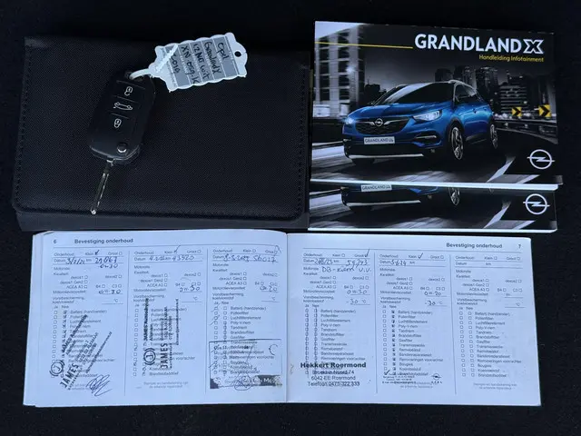 Opel Grandland X 1.2 Turbo Online Edition 2019 Benzine 24