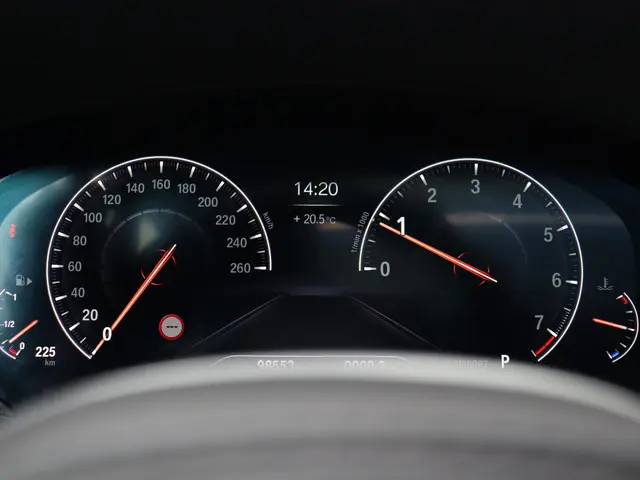 BMW 5 Serie Touring 520i 2019 Benzine 24