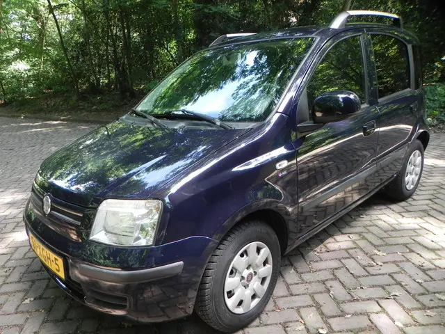 Fiat Panda 1.2 Edizione Cool 2012 Benzine 2