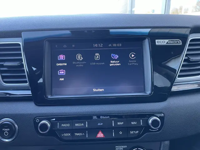 Kia e-Niro ExecutiveLine 64 kWh 2019 Elektrisch 21