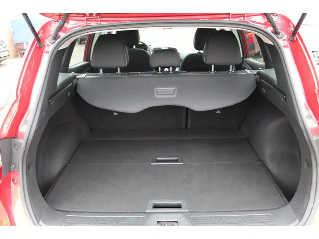 Renault Kadjar 1.2 TCe Zen 2015 Benzine 7