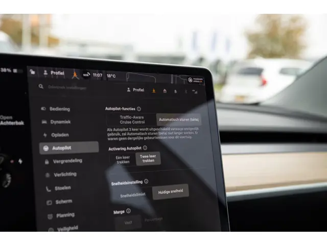 Tesla Model 3 Long Range AWD 75 kWh 2019 Elektrisch 35