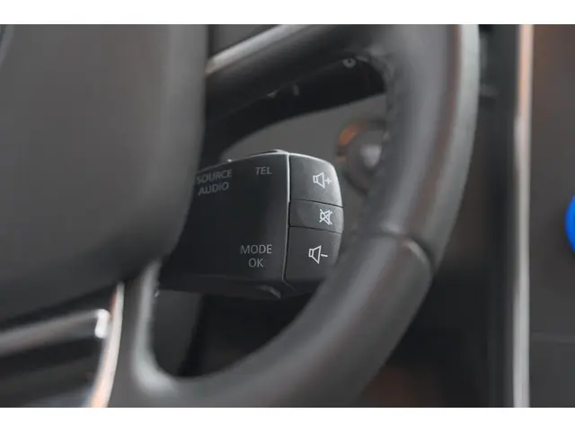 Renault Scénic TCe 140 EDC Limited 2019 Benzine 40