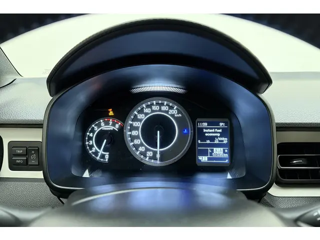 Suzuki Ignis 1.2 Smart Hybrid Style 2020 Benzine 24