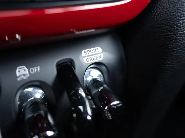 MINI Countryman Cooper S Aut. 2020 Benzine 24