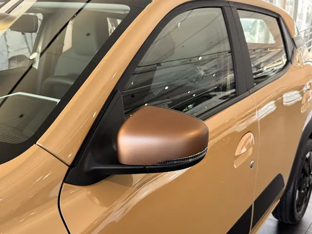 Dacia Spring Extreme 65 26.8 kWh 2025 Elektrisch 6