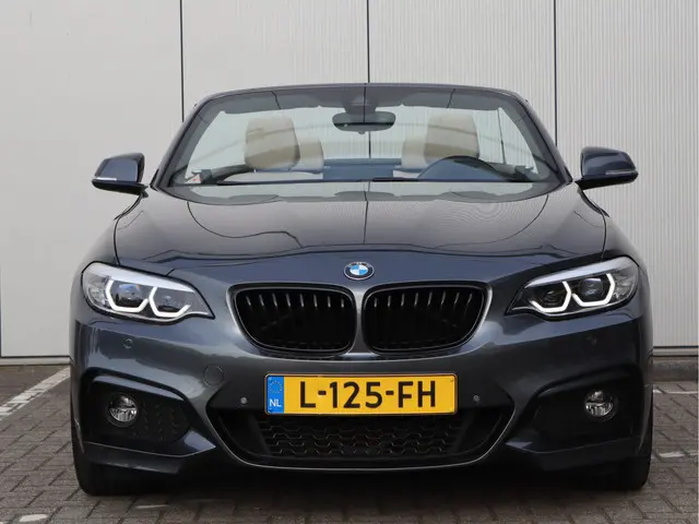 BMW 2 Serie Cabrio 220i High Executive 2021 Benzine 7
