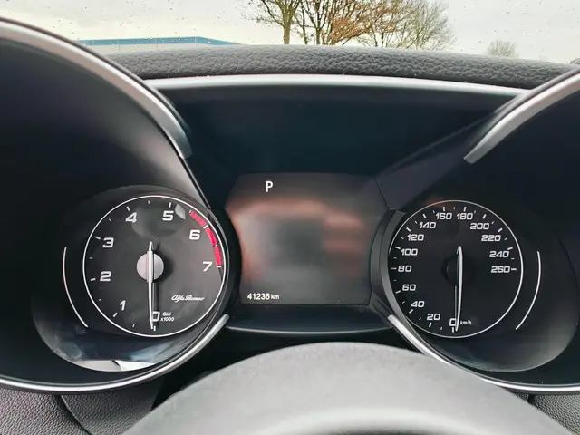 Alfa Romeo Giulia 2.0T B-Tech Super 2019 Benzine 15