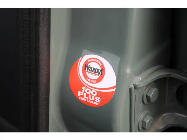 Dacia Spring 45 Expression 2024 Elektrisch 29