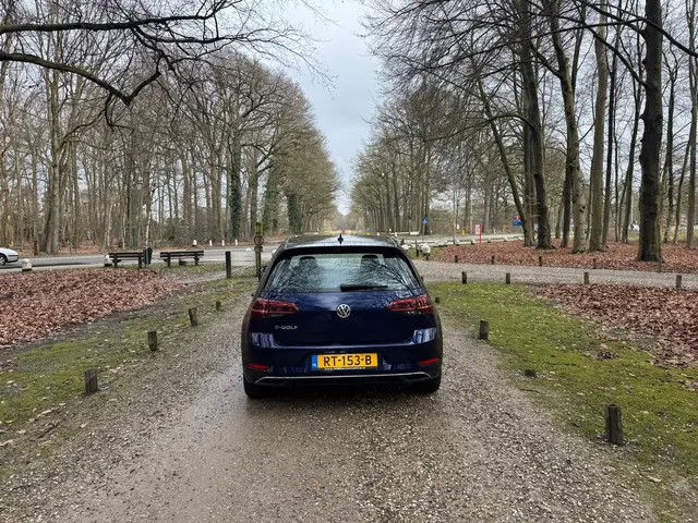 Volkswagen e-Golf E-Golf 2017 Elektrisch 5
