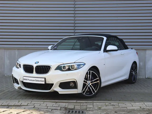 BMW 2 Serie Cabrio 220i 2019 Benzine 2
