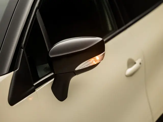 Renault Captur 0.9 TCe Dynamique Sport 2017 Benzine 30