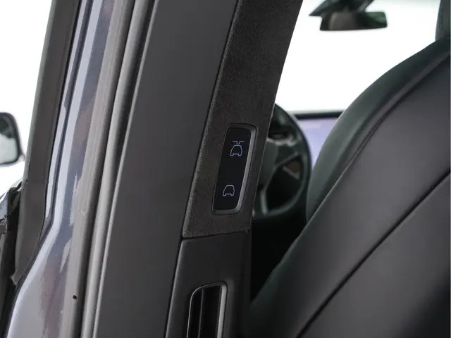 Tesla Model X 100D AWD [ 3-Fase ] 2018 Elektrisch 23