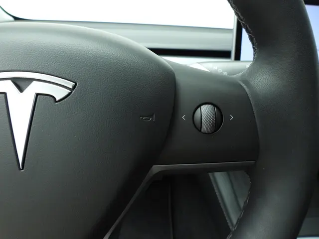 Tesla Model 3 Standard RWD Plus 60 kWh 2023 Elektrisch 14