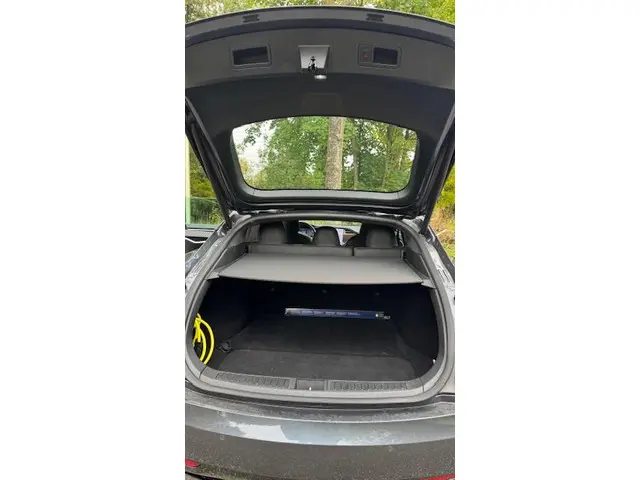 Tesla Model S 75D Base 2018 Elektrisch 11