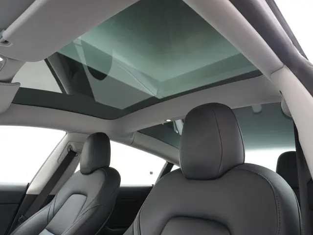 Tesla Model 3 Standard RWD Plus 60 kWh 2021 Elektrisch 20