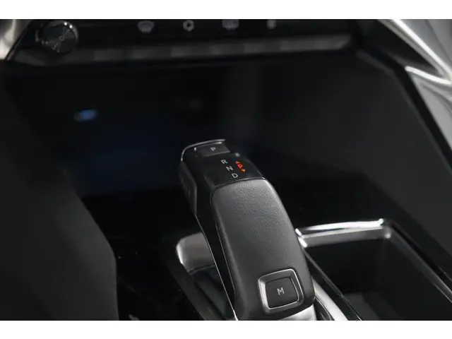 Peugeot 3008 PureTech 130 EAT8 GT Line 2019 Benzine 48