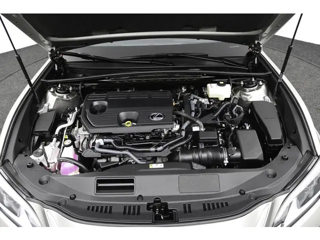 Lexus ES 300h Business Line 2024 Hybride Benzine 32