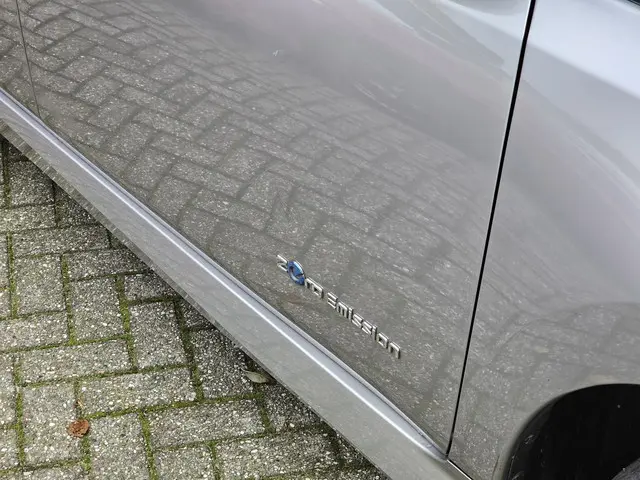 Nissan Leaf e+ Tekna 62 kWh 2020 Elektrisch 10