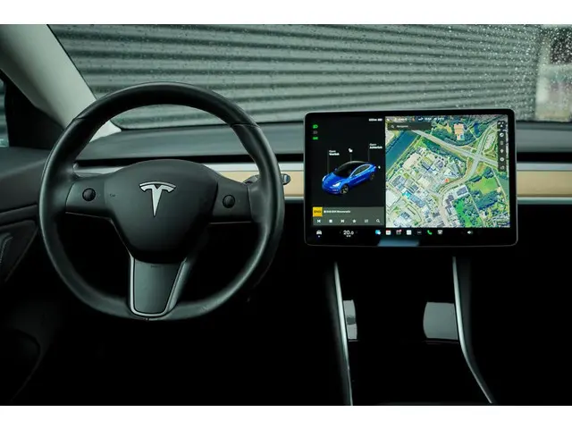 Tesla Model 3 Standard RWD Plus 60 kWh 2019 Elektrisch 20