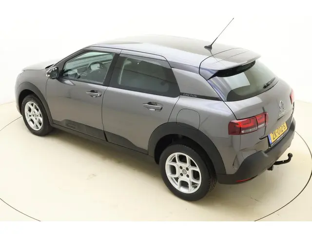 Citroën C4 Cactus 1.2 PureTech Business 2019 Benzine 4