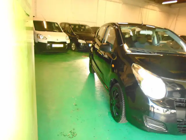 Suzuki Alto 3