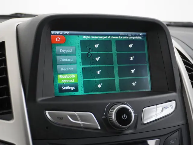 BYD ETP3 Standard 45 kWh 2023 Elektrisch 27