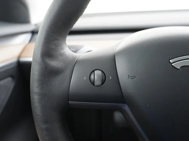 Tesla Model 3 Standard RWD Plus 60 kWh 2021 Elektrisch 29