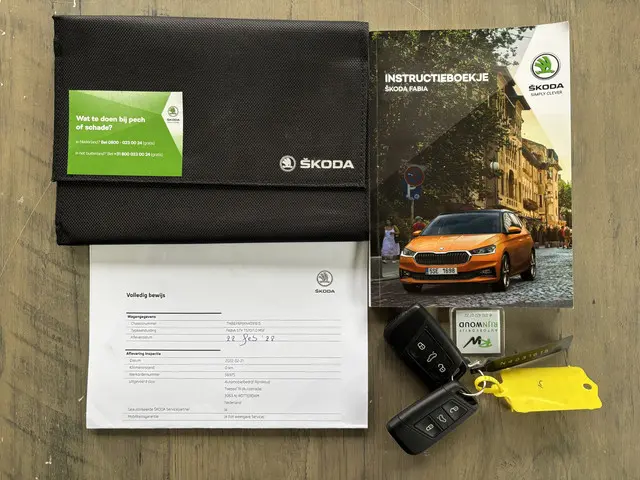 Škoda Fabia 1.0 TSI Business Edition 2022 Benzine 23