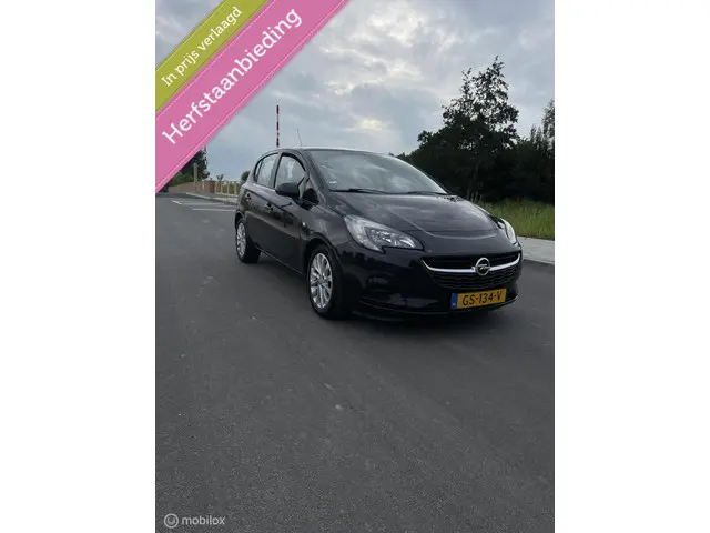 Opel Corsa 1.0 Turbo Edition,5 deurs,,airco,apk 2015 Benzine 5