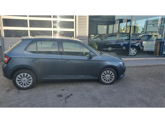 Škoda Fabia 1.2 TSI Monte Carlo 2017 Benzine 4