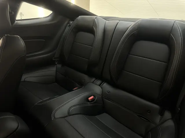 Ford Mustang 5.0 V8 GT Performance 2024 Benzine 30